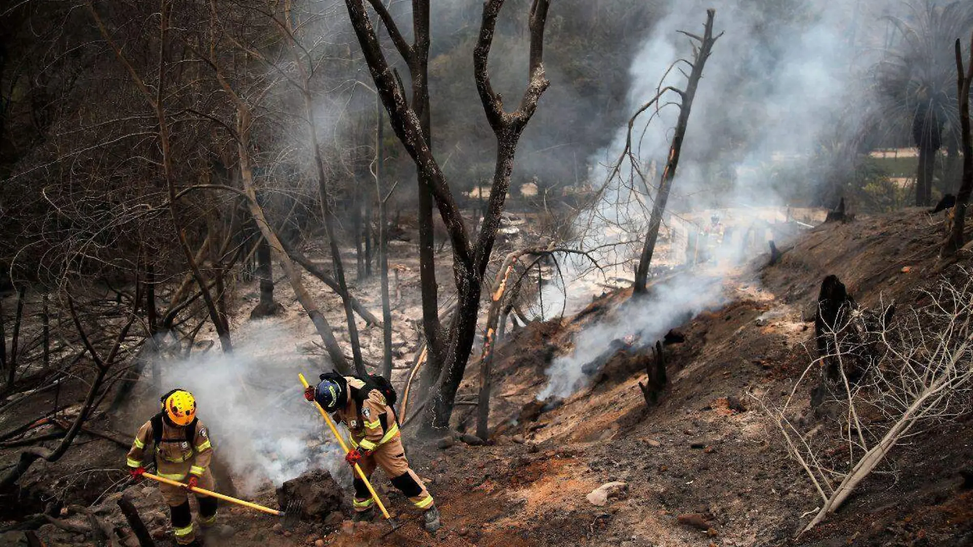 Incendios forestales en Chile